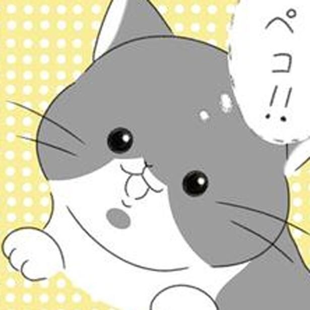 「ペコ」を家族に迎え入れた日