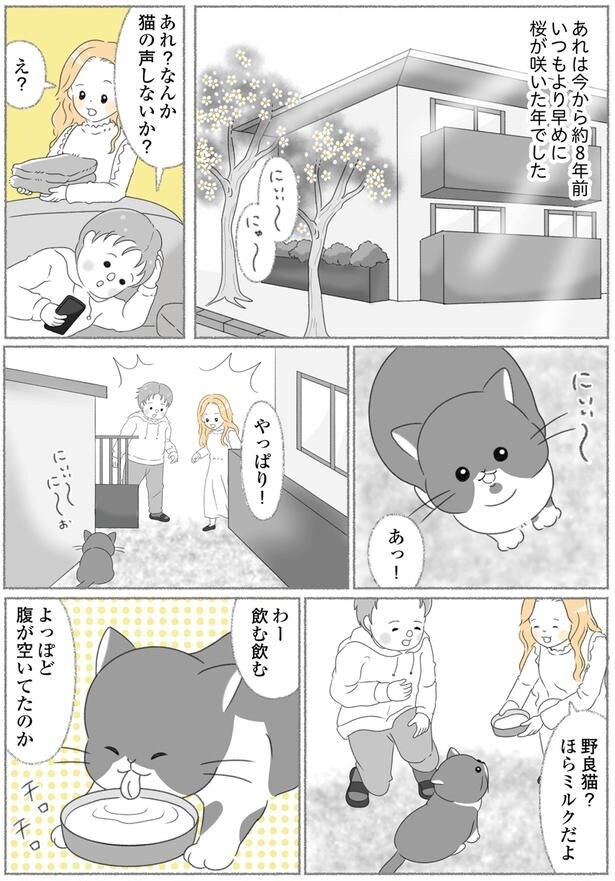 猫の声しないか？