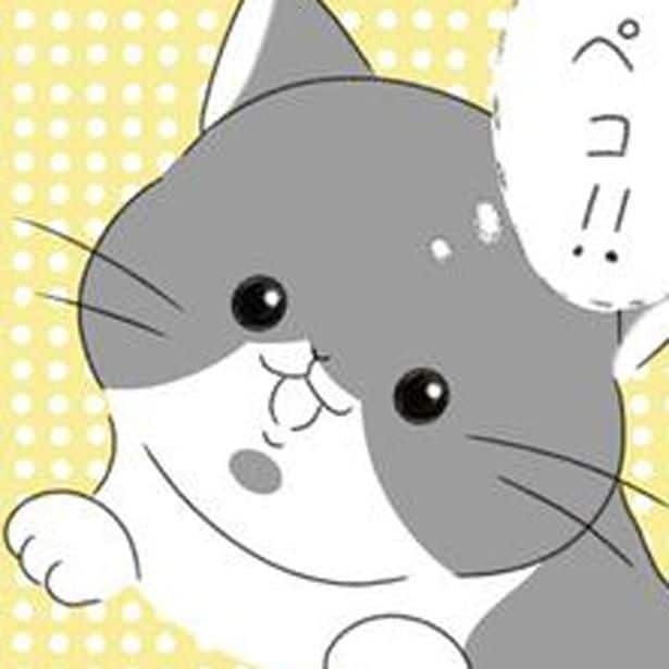 思いがけず、お腹を空かせていた猫を保護。「ペコ」を家族に迎え入れた日