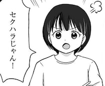 気にし過ぎと思ったけど…娘が嫌がっていた男性教師／娘が12歳で妊娠しました1（12）