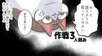 いろんな方法でアピール！娘に遊んでもらいたい過保護猫の作戦