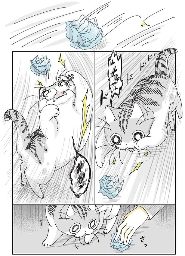 紙くずに興奮
