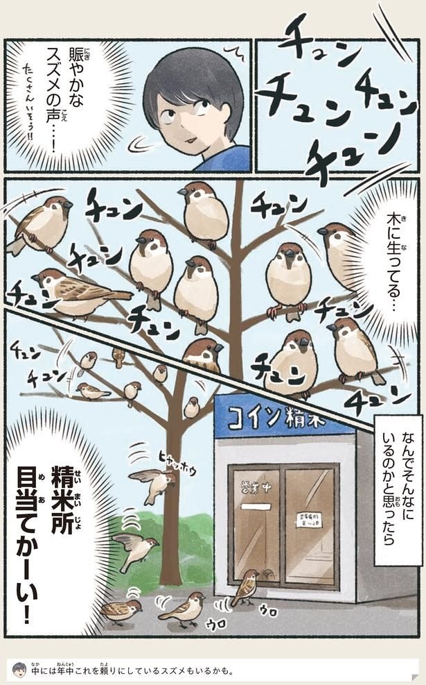 木に生ってる…
