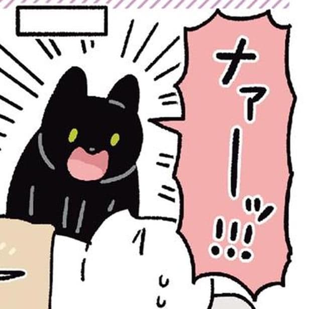 黒猫ろんの行動にびっくり