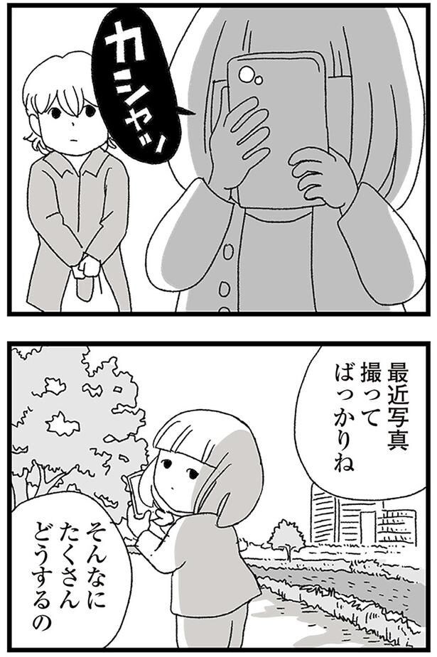 最近写真撮ってばっかりね