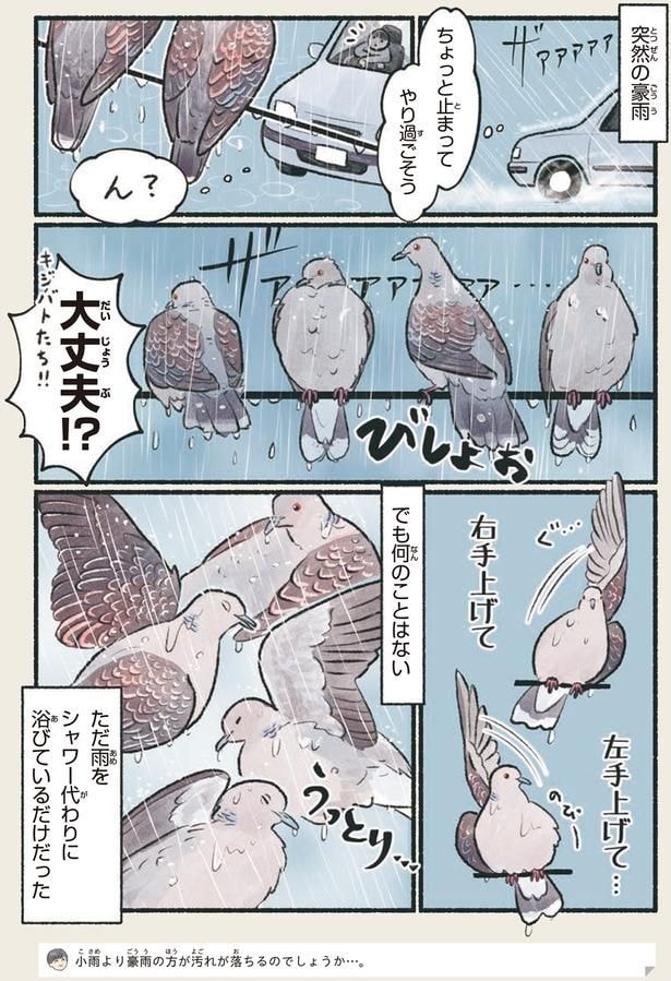 大丈夫！？