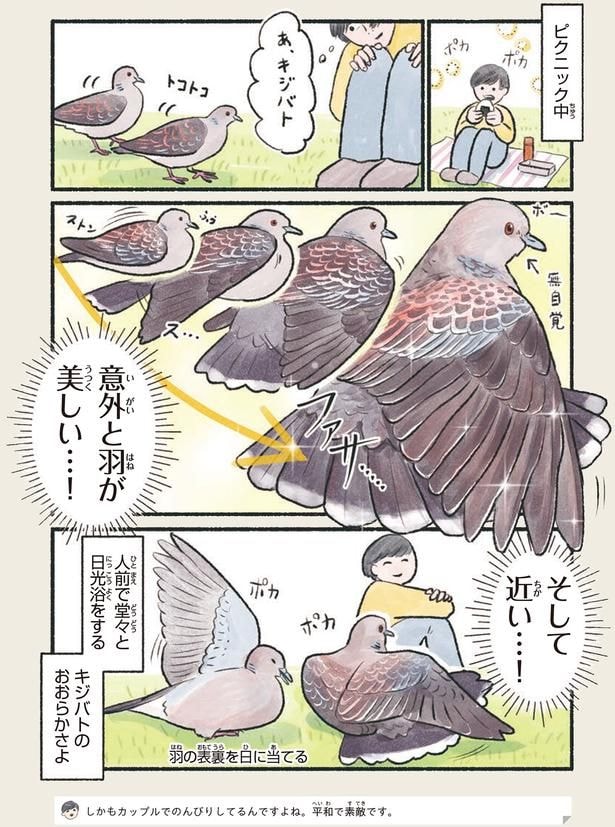 意外と羽が美しい…！