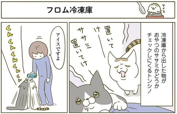 フロム冷凍庫