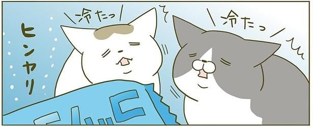 ヒンヤリ