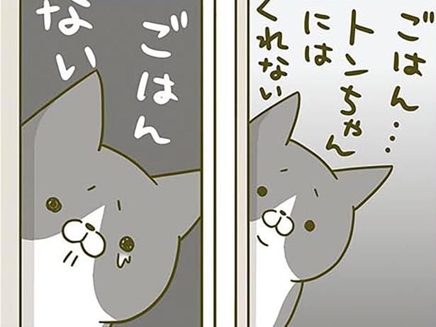 悲しそうにするけれど…