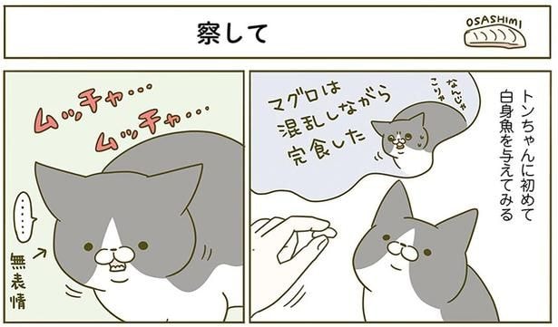 察して