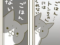 ものすごい見てる。「自分だけごはんがない」くいしんぼ猫が悲しそうにするけれど、実は