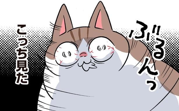 こっち見た