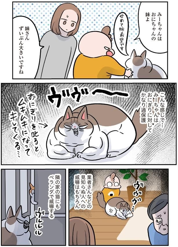見知らぬ人への威嚇はもちろん