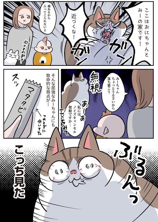 致命的な弱点が…