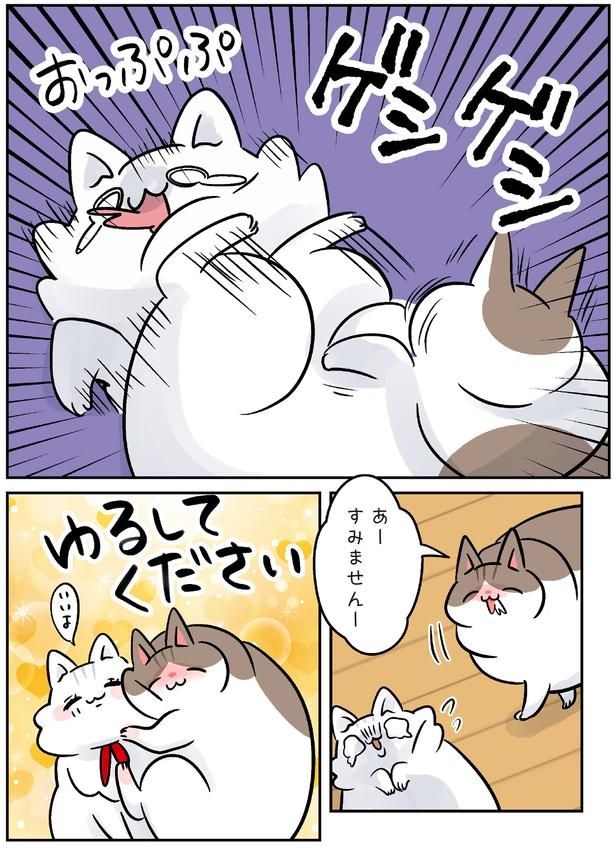 ゆるしてください