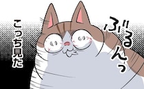 屈強なモンペ猫に致命的な弱点！？絡まれると危険なハイテンション！