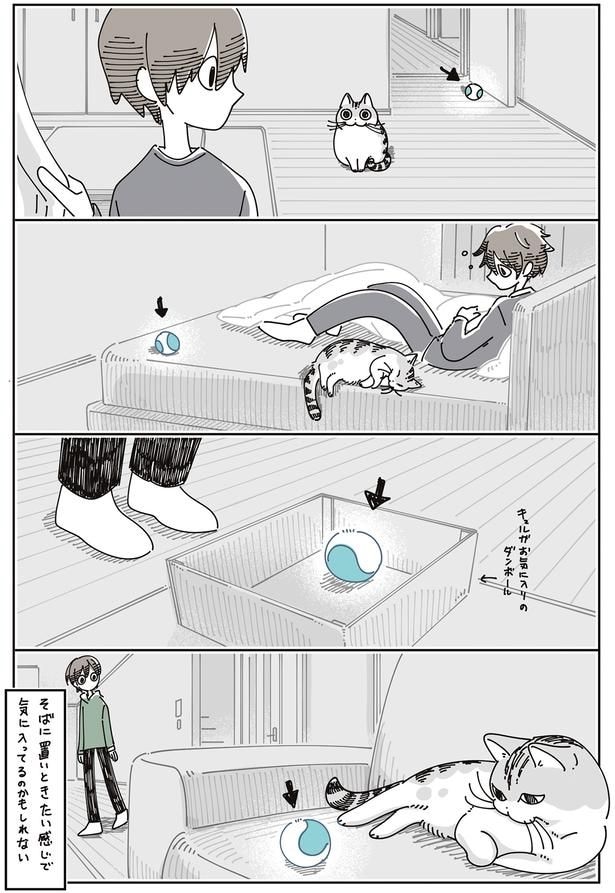 お気に入りの段ボールに