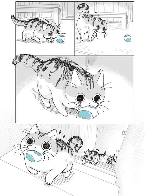 おもちゃをくわえて