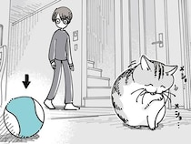 遊びたいわけではなさそうなのに。ボールのおもちゃをそばに置いているネコの謎