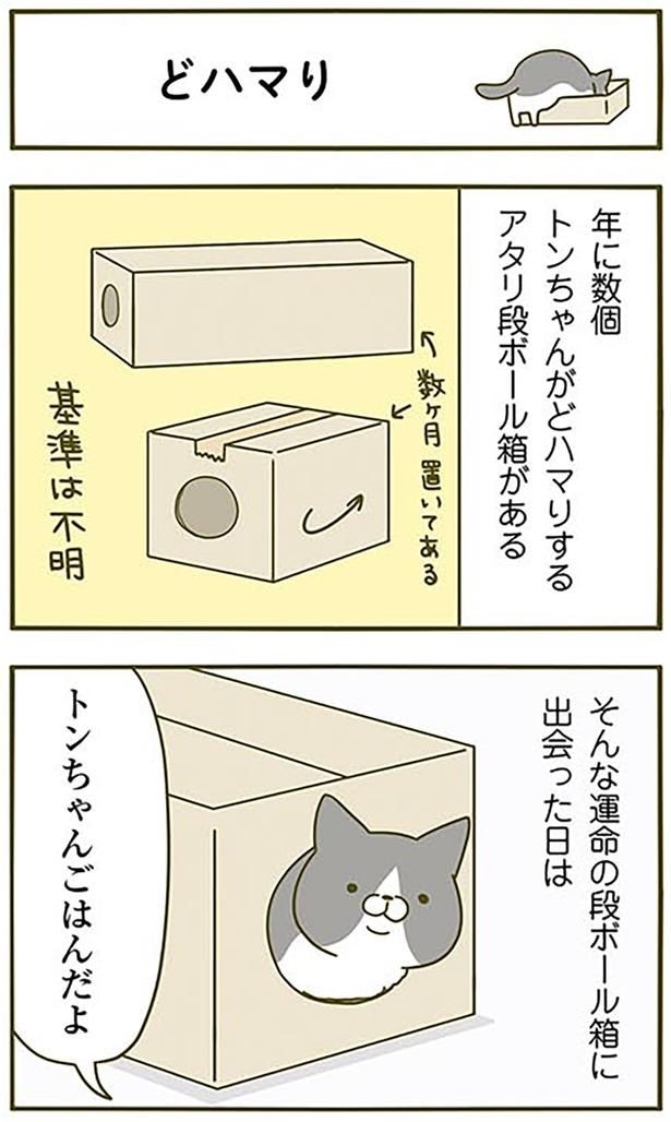 どハマり