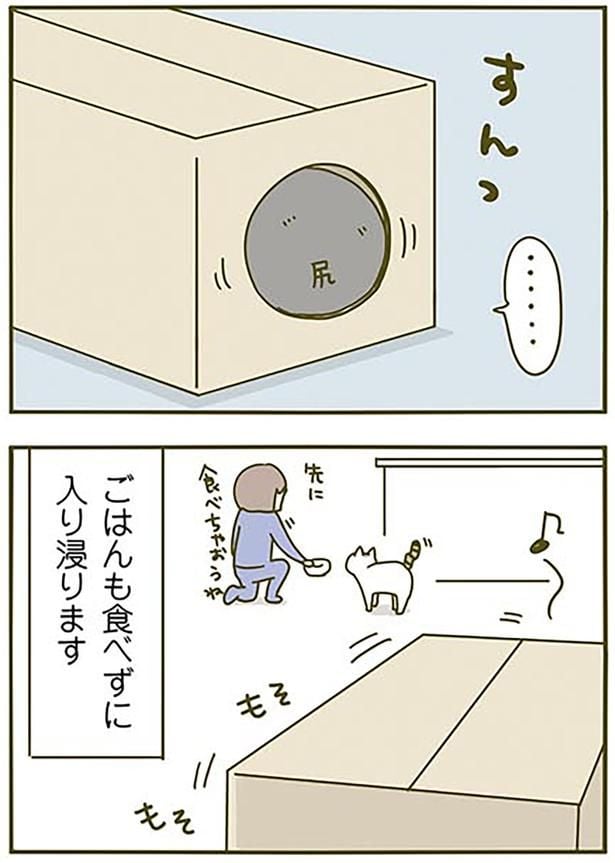 すんっ