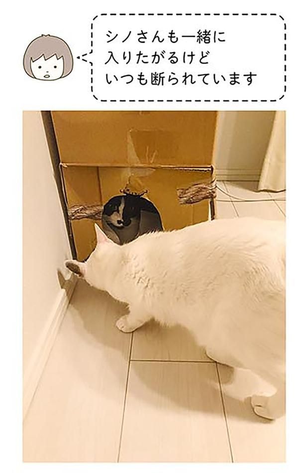 いつも断られています