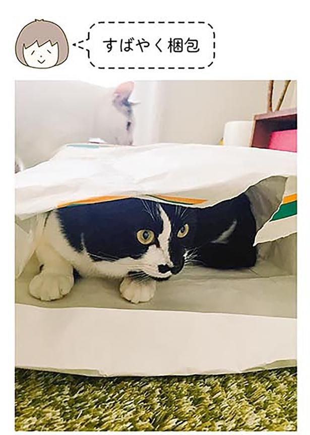 すばやく梱包