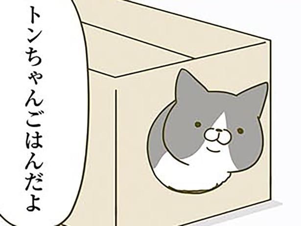 基準は不明、でも運命? 年に数個、我が家の猫にドはまりする段ボールが現れて