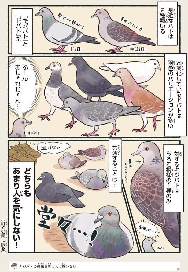 ふーん おしゃれじゃん…
