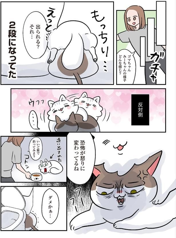 恐怖が怒りに変わってるね