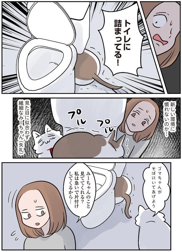 トイレに詰まってる!