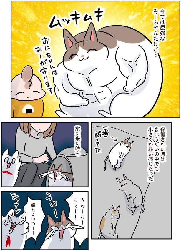 きょうだいの中でも小さくか弱い感じだった