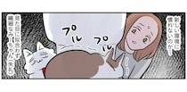 屈強な見た目に似合わず繊細！？新しい家でトイレから出られないモンペ猫