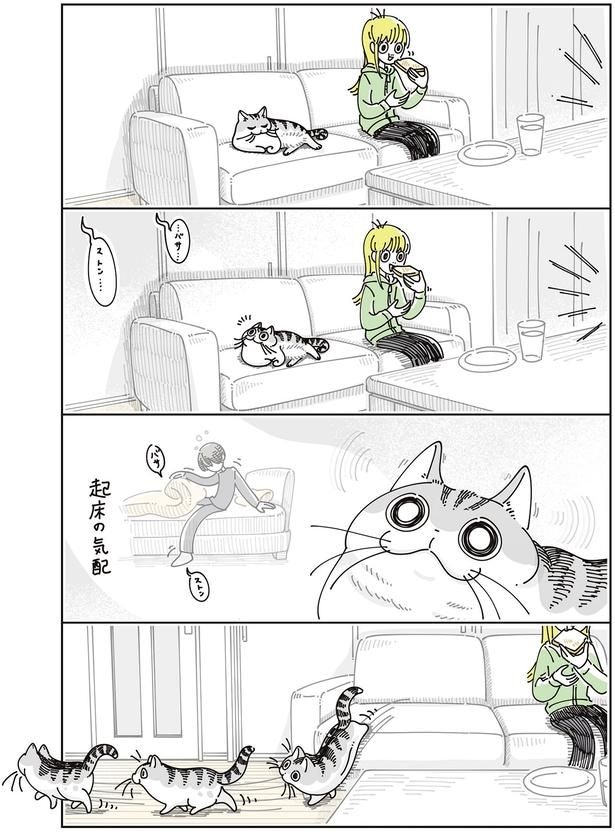起床の気配