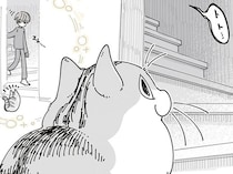 飼い主の起床を察知し待っているネコ。しかしなかなか降りてこなくて