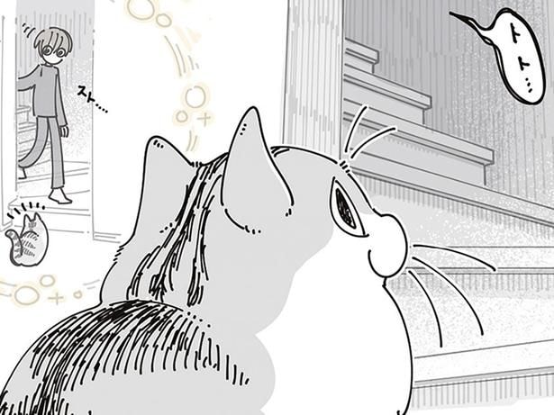 飼い主の起床を察知し待っているネコ。しかしなかなか降りてこなくて
