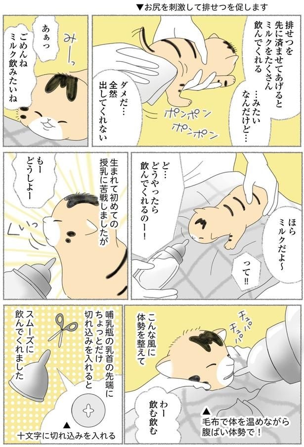 もーどうしよー