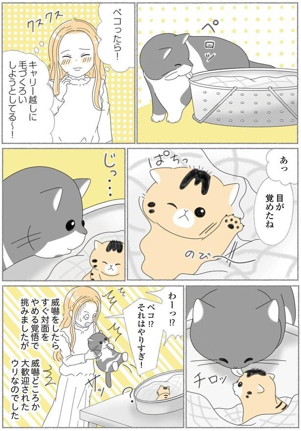 目が覚めたね