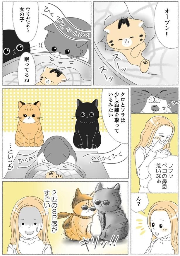 オープン！！