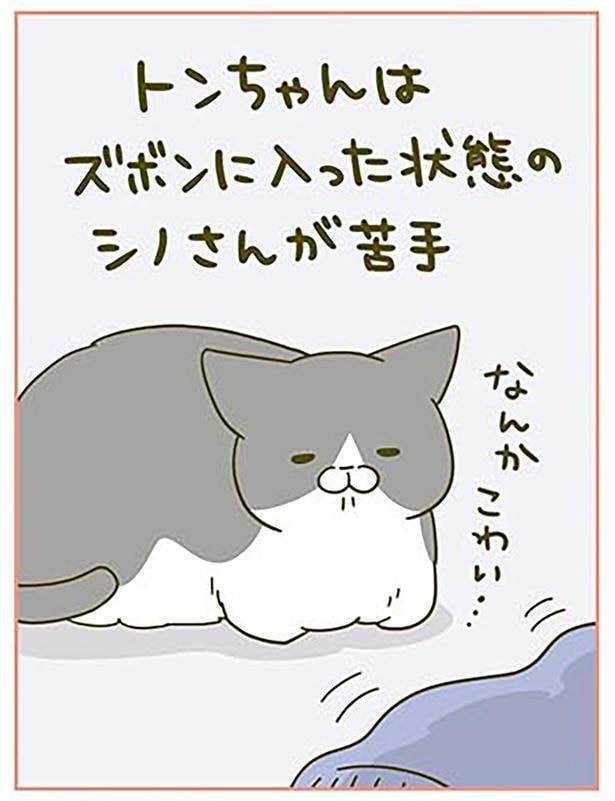 なんか…こわい…