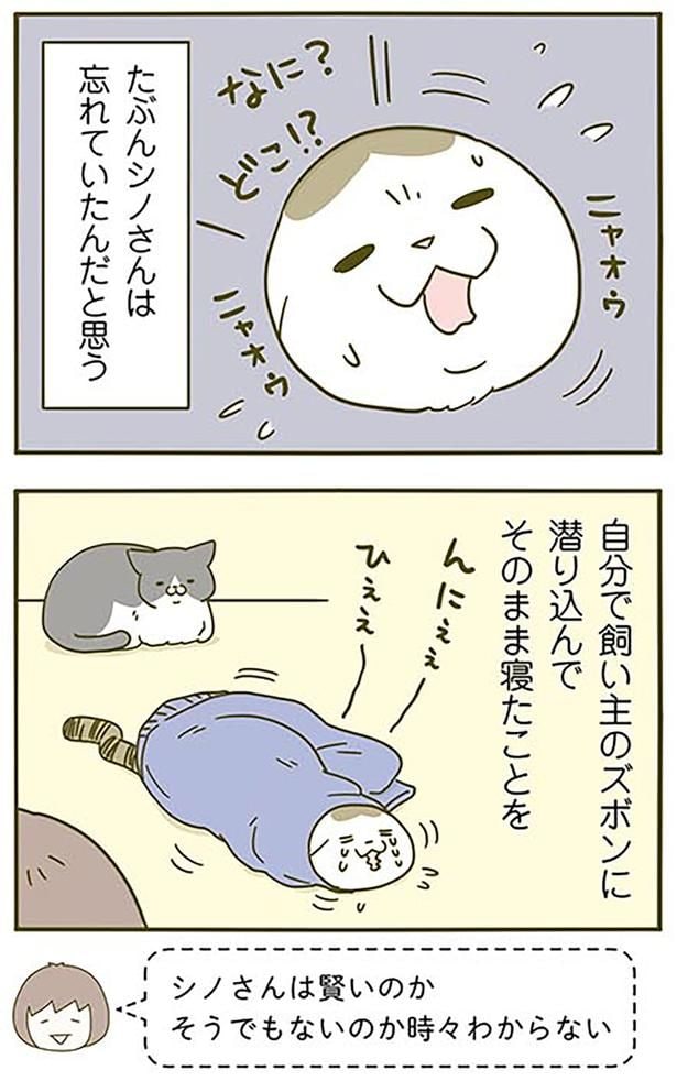 忘れていたんだと思う