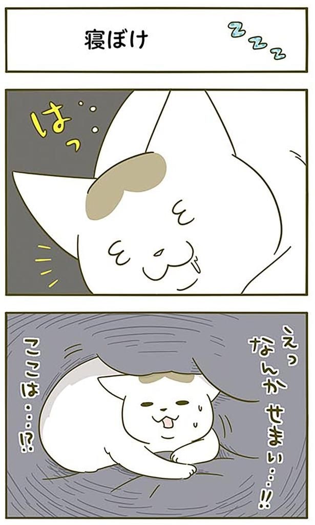 ここは…！？