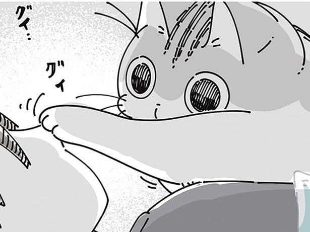 ネコに好き勝手される