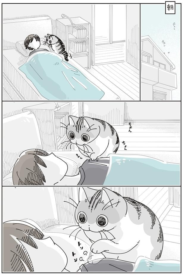 ちょんちょん