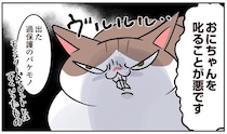 猫も、祖父も、友だちも！我が家の幼児は「過保護製造機」！？