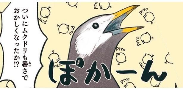 ぽかーん