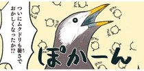 ムクドリが集団で口を開けてポカーン！大丈夫かと心配したら