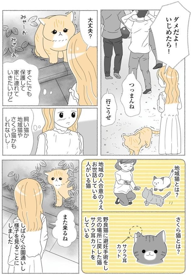 様子を見ることにしました