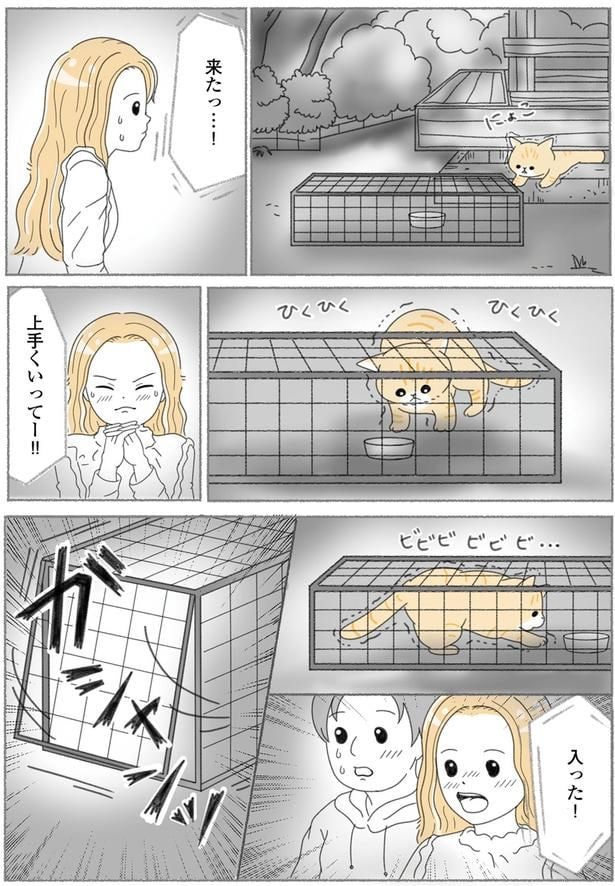 来たっ…！